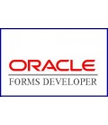 Oracle Developer (Ecran)