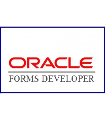 Oracle Developer (Etat)